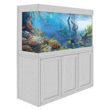 aqua dream aquarium