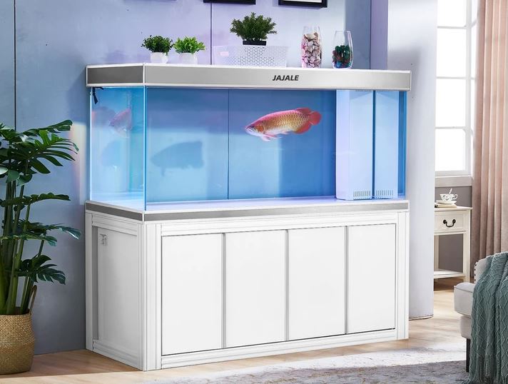 aqua dream aquarium