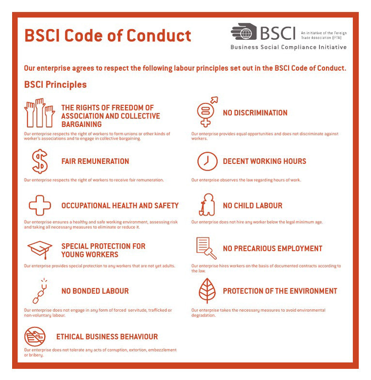 BCSI (Business Social Compliance Initiative) requirements