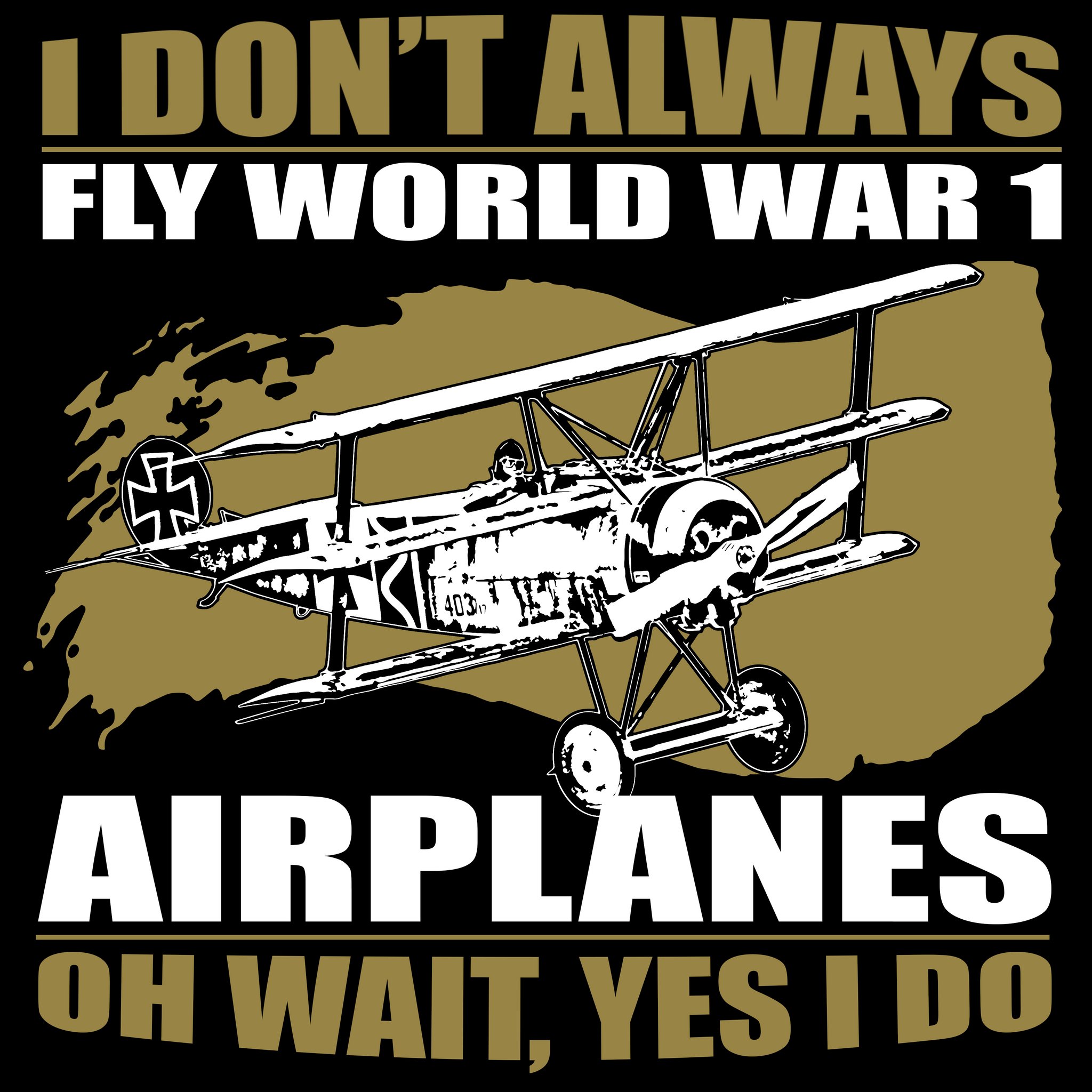 I DON'T ALWAYS FLY WW1 AIRPLANES