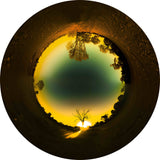 Inner Desire Collection, Trees in the Sunset 360 Little planet 