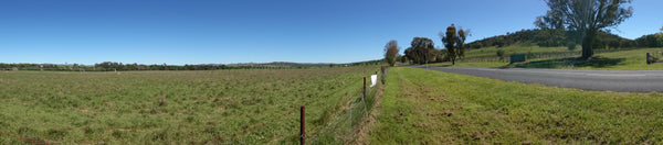 Eurunderee - Henry Lawson's Childhood Home Mudgee Gulgong Region Mid Western NSW