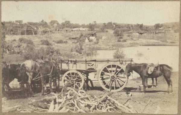 Horses and cart in foreground, looking south-west across Pullen's Dam, to the early workings of the Scandinavian mine, Hill End, New South Wales, ca.1872 https://nla.gov.au:443/tarkine/nla.obj-148049615
