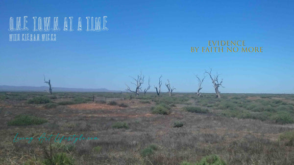 Dead trees standing stoicly in the outback desert - Evidence by Faith No More Acoustic Cover song by Kieran Wicks