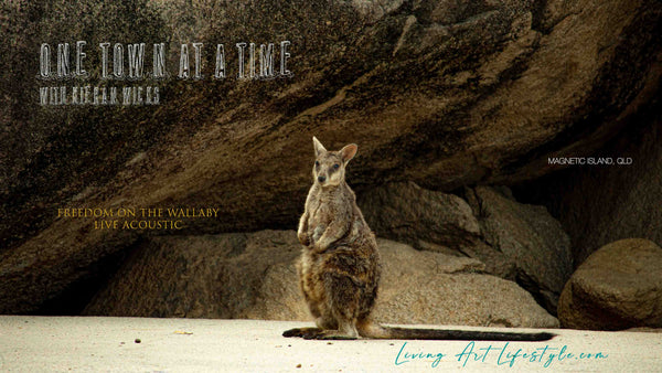 Freedom on the Wallaby by Kieran Wicks - Live Acoustic Rendition - Wallaby on the Beach in front of rockface on Magnetic Island QLD