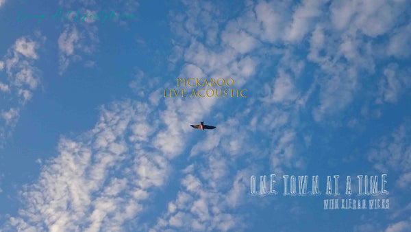 Pickaboo by Kieran Wicks - Live Acoustic Rendition - Hawk Eagle Kite in flight