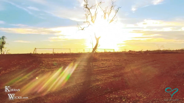 ONE TOWN AT A TIME EP 4 SCREENSHOT 6 - QLD OUTBACK SUNSET GO PRO 360 VR OVERCAPTRUE C RED EARTH SAND DEAD TREE IN SUNSET BARCALDINE