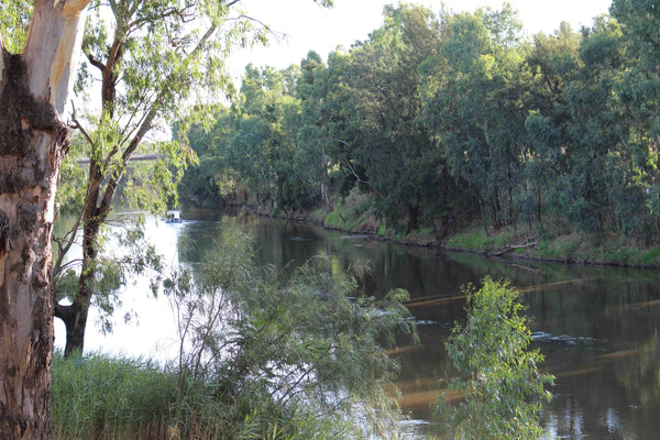 Macquarie River Dubbo Central West NSW