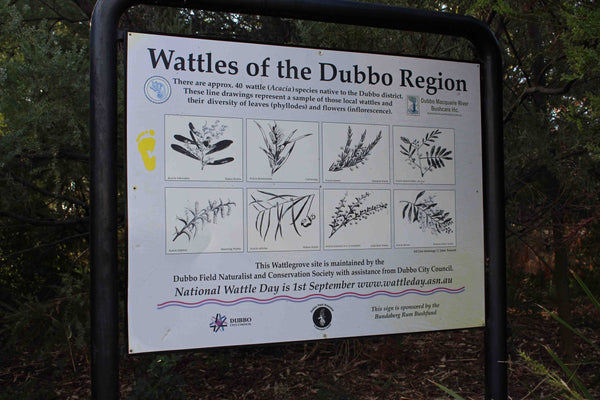 Wattles of the Dubbo Region Information Sign Dubbo Central West NSW