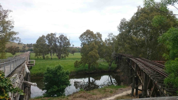 THE PRINCE ALFRED VIADUCT - GUNDAGAI, SOUTH WEST SLOPES NSW Wooden Rail Bridge Murrumbidgee River Historical