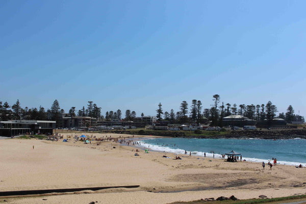 Kiama Beach and Caravan Park South Coast NSW