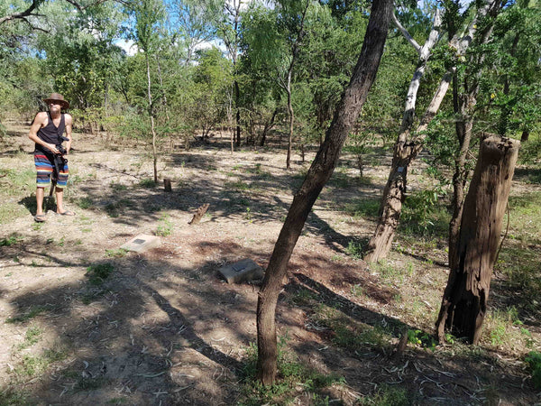Burke & Wills Camp 119 near Normanton Gulf of Carpentaria QLD