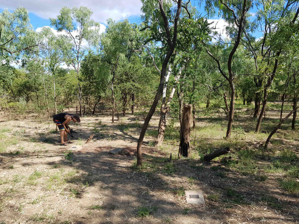 Burke & Wills Camp 119 near Normanton Gulf of Carpentaria QLD