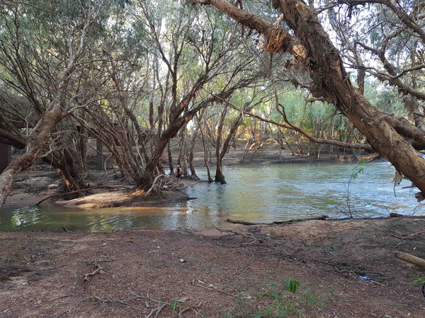 Walkers Crossing near Normanton Gulf of Carpentaria QLD