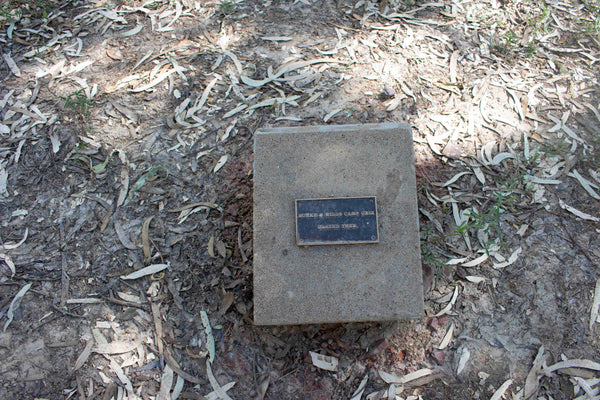 Proof of Life ; Burke & Wills Camp 119 Gulf of Carpenteria QLD Historical Information Sign