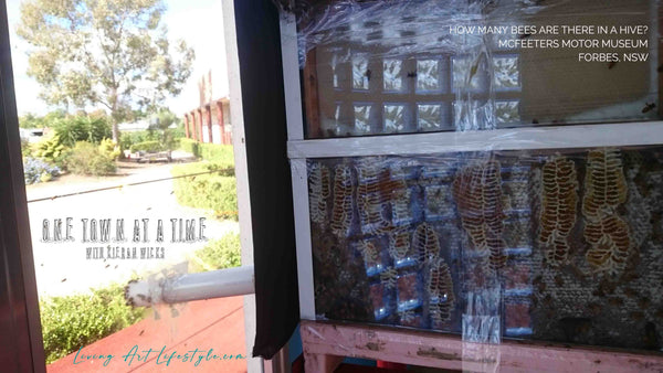 How Many Bees are there in a Hive - Forbes Central West NSW