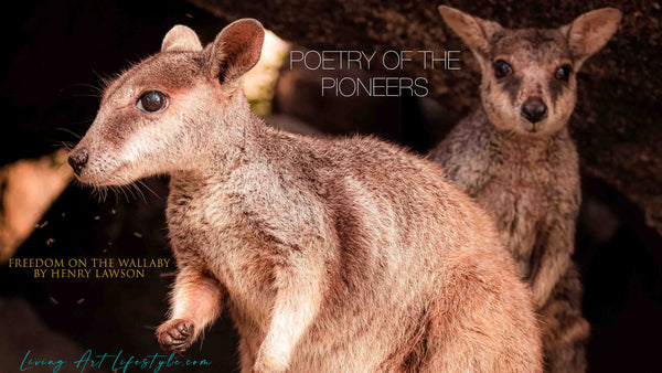 Wallabies on Magnetic Island QLD - Freedom on the Wallaby by Henry Lawson read by Kieran Wicks