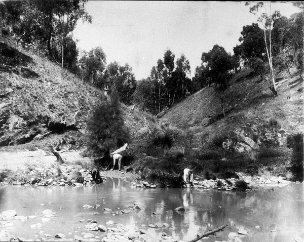 Panning for gold - Ophir, NSW c 1888 - Photographed by James Mills 