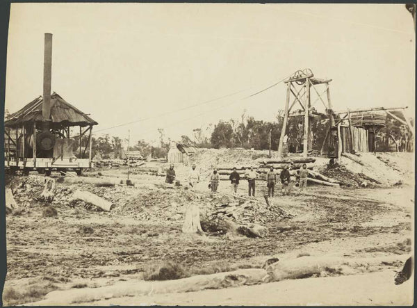 Steam donkey driving gold mine pit head machinery, Trunkey, New South Wales, ca. 1873