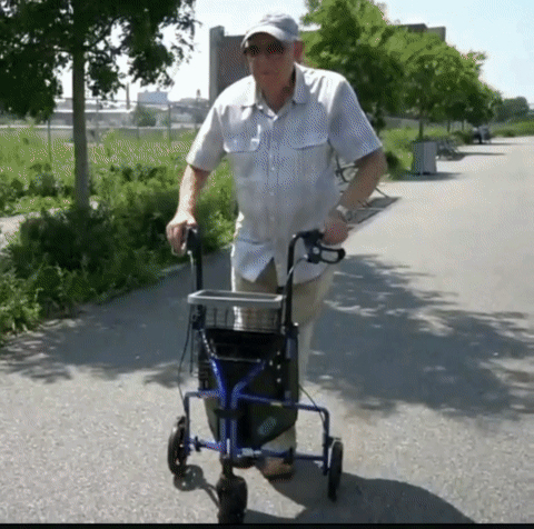 3 wheel mobility walker
