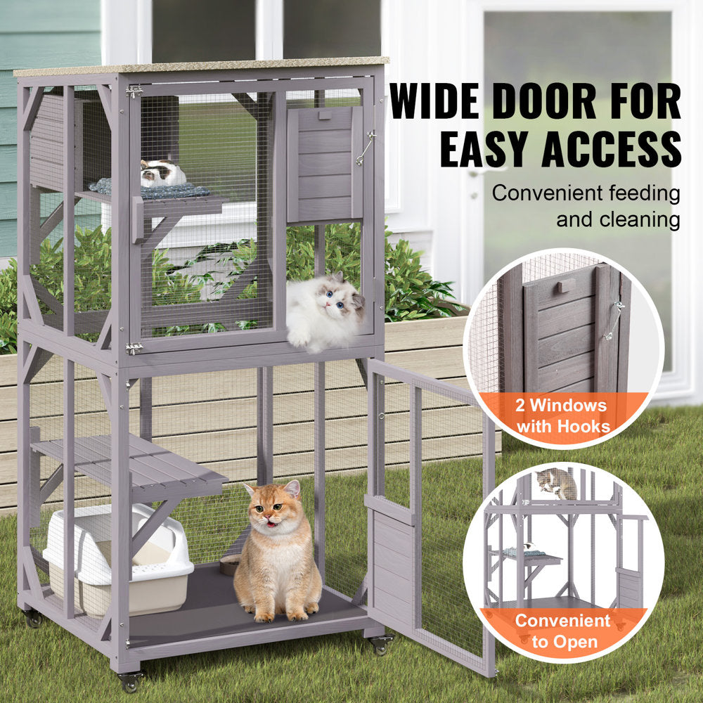 domestic cat enclosure