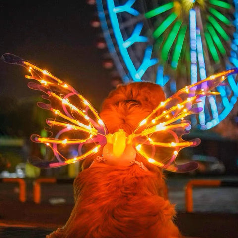 fairy wings costume