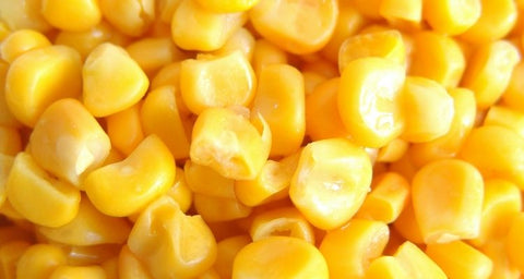 carp sweetcorn maize