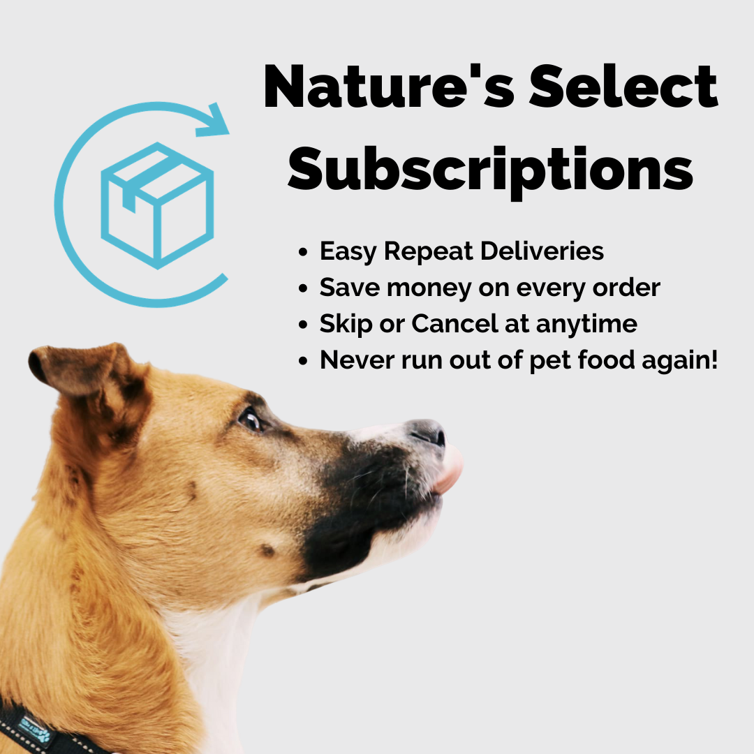 Pet Food Subscriptions