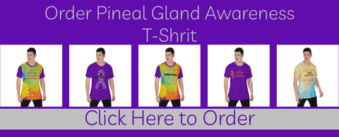 order you pineal gland cyst or tumor brain mass awareness t-shirt