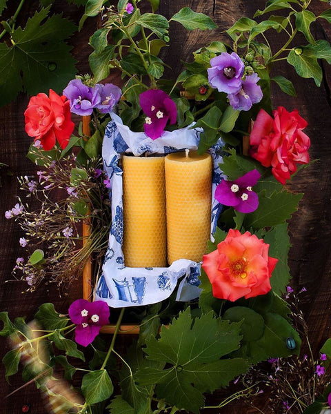Apis Cera Ambroise Beeswax Candles