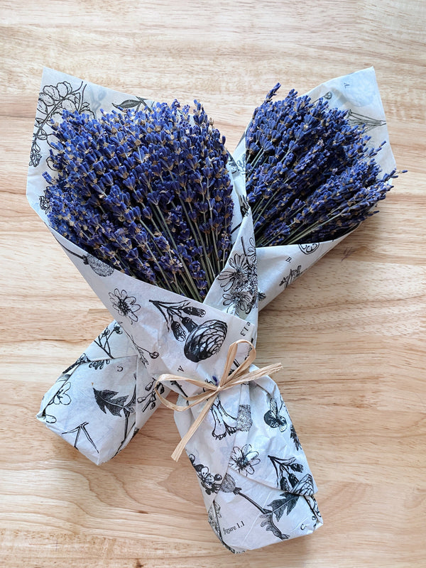 Dried Lavender Bouquet – Maple & Lather