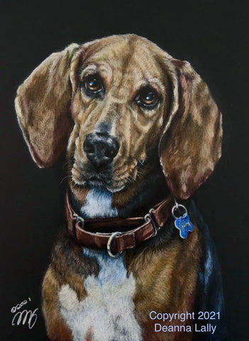 pet portrait hound bloodhound beagle custom original art