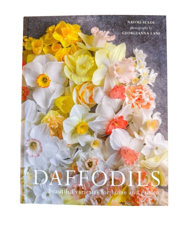 Daffodils: Beautiful Varieties for Home and Garden