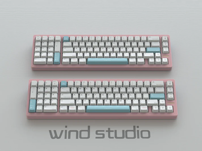 [Pre-Order] WIND X R2 Southpaw Version by Wind Studio