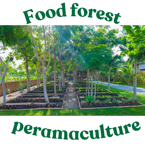 Food forest