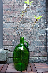 Vintage Green Glass Jug | Demijohn Carboy Wine Jug | Farmhouse Style Vase