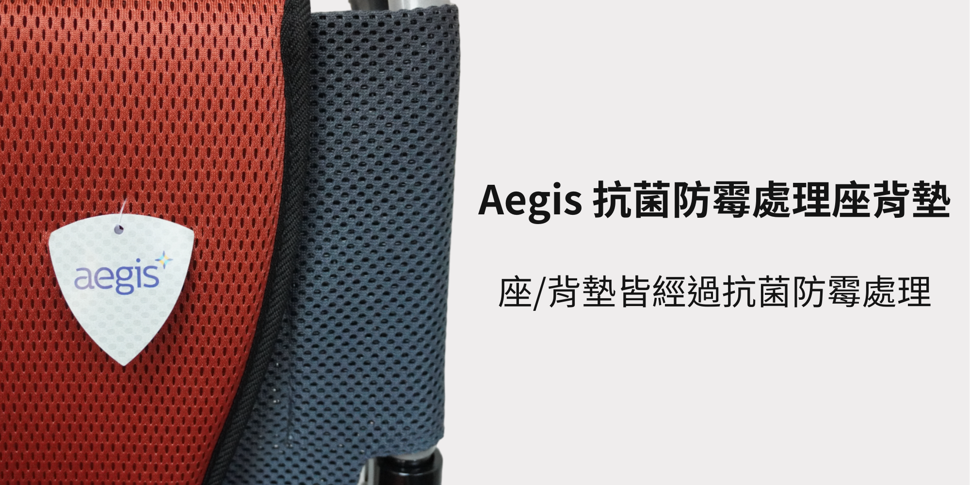 Aegis 抗菌防霉處理座背墊