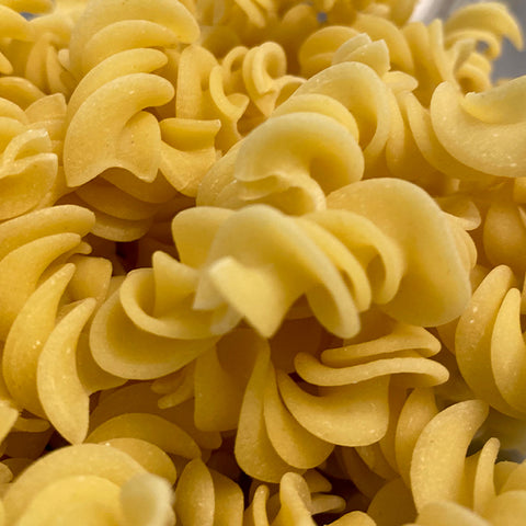 Making fresh pasta rigatoni #food #freshpasta #chef #machine #pasta  #freshpastarecipe #cooking 