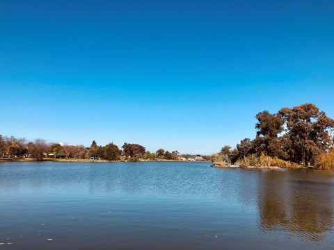 Lake Weeroona