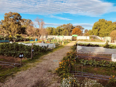 Peppergreen Farm Bendigo