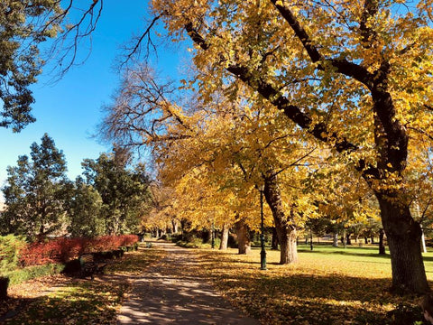 Rosalind Park Bendigo