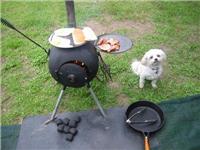 Doggie Camping