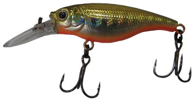 Fishing Lure Basics: Understanding Types, Applications, and Target Species