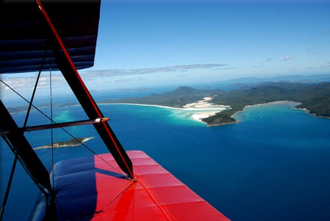 Tiger moth whitsundays