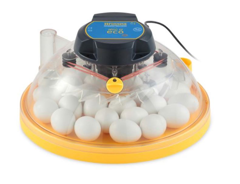 Brinsea Maxi II Eco Egg Incubator – Uneek Poultry