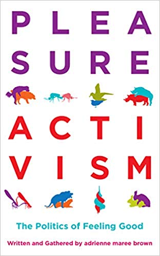 pleasure activism book