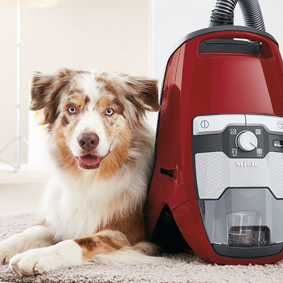Blogs About Vacuums — Tagged 