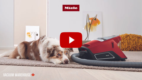 Miele vacuum cleaner