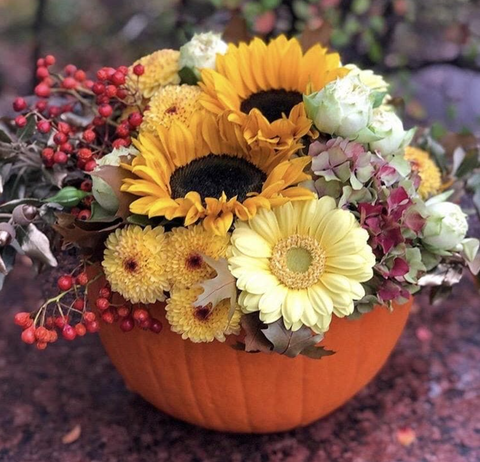 Sunflower pumpkin