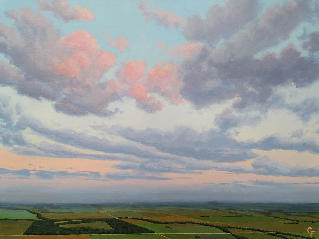 aerial-landscape-painting-catherine-freshley